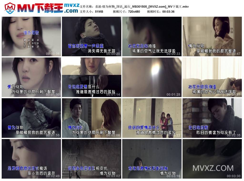 喜波-情为何物_国语_流行_MB301505